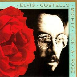 Elvis Costello : Mighty Like a Rose